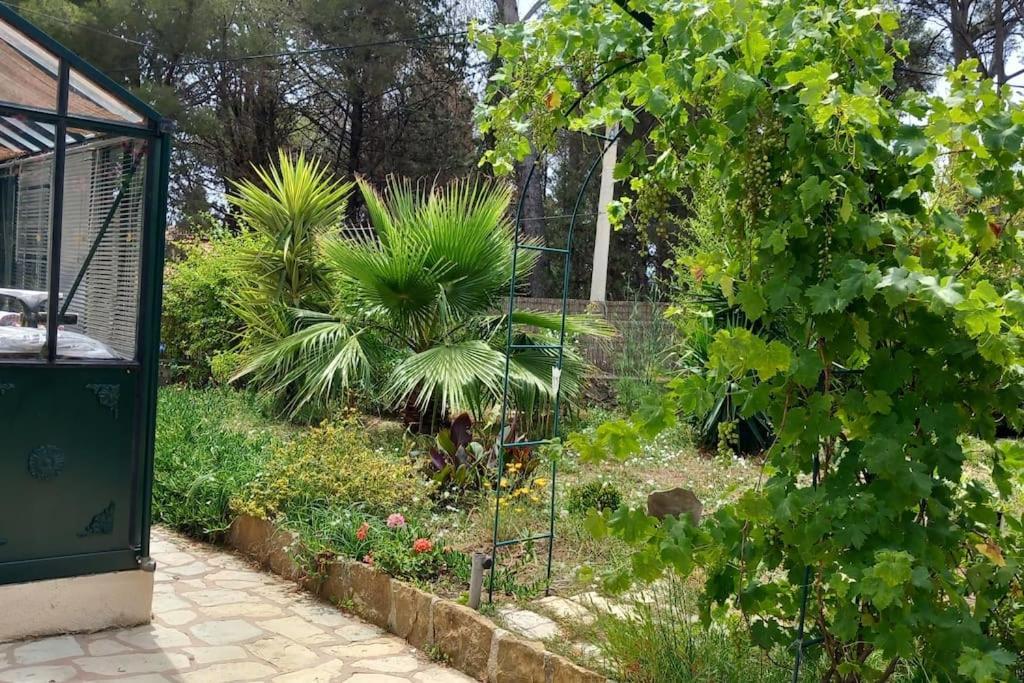 Villa Magali Grande Terrasse Vue Mer, Jardin, Proche Port La Ciotat Extérieur photo