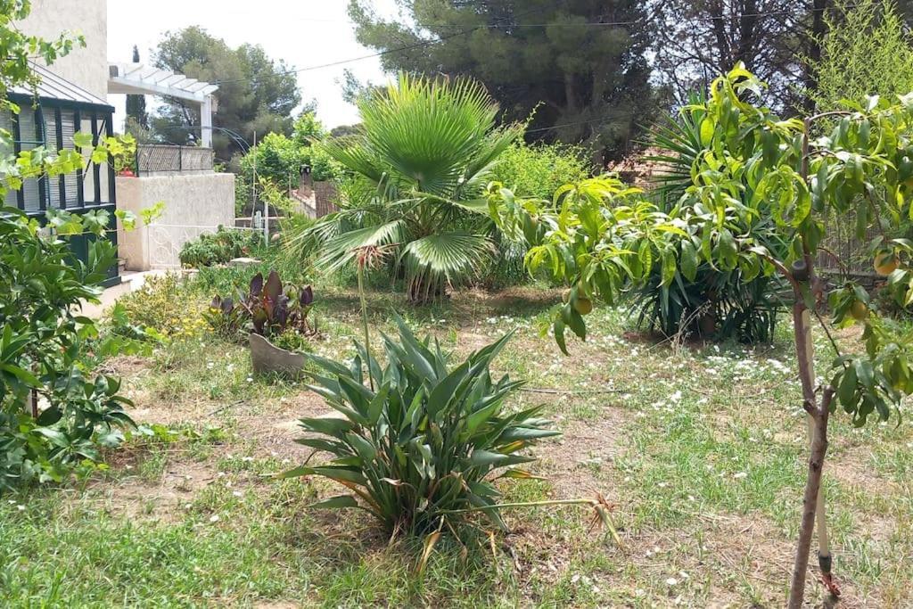 Villa Magali Grande Terrasse Vue Mer, Jardin, Proche Port La Ciotat Extérieur photo