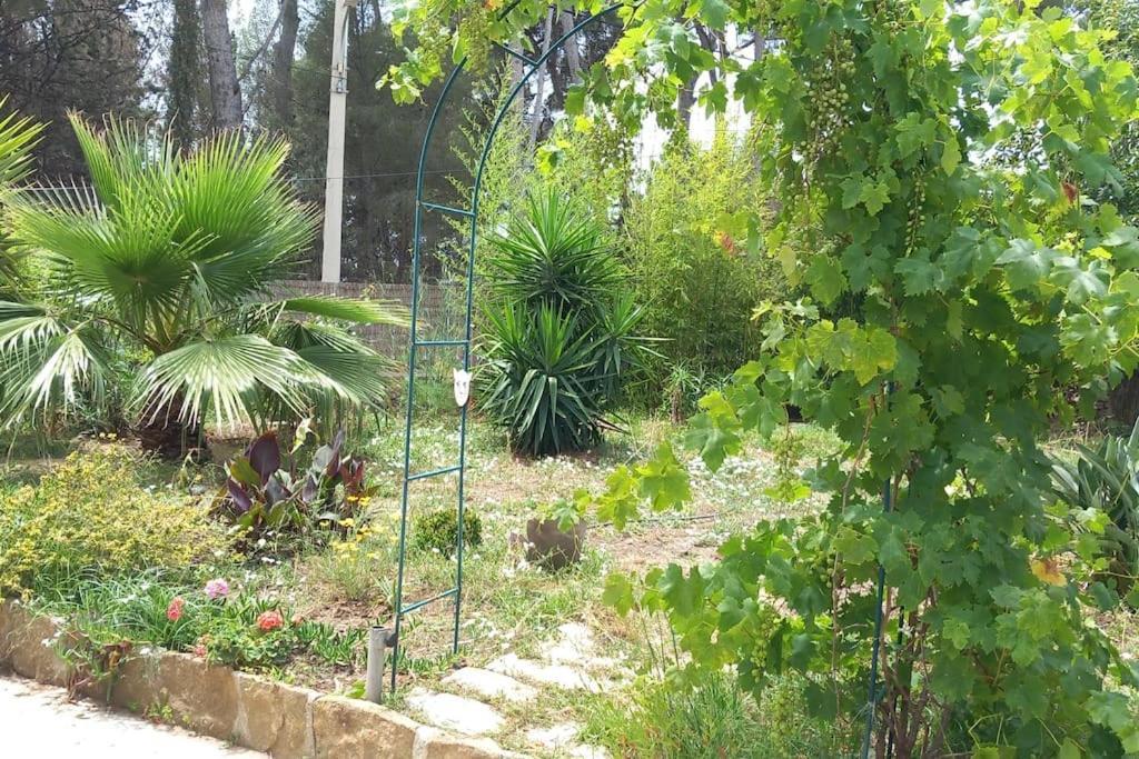 Villa Magali Grande Terrasse Vue Mer, Jardin, Proche Port La Ciotat Extérieur photo