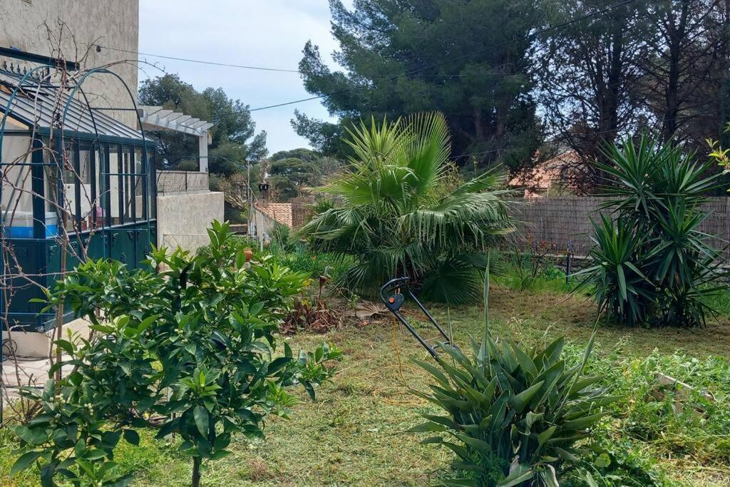 Villa Magali Grande Terrasse Vue Mer, Jardin, Proche Port La Ciotat Extérieur photo